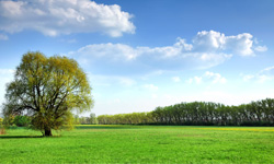 Image of Bank House Farm USP - Quiet